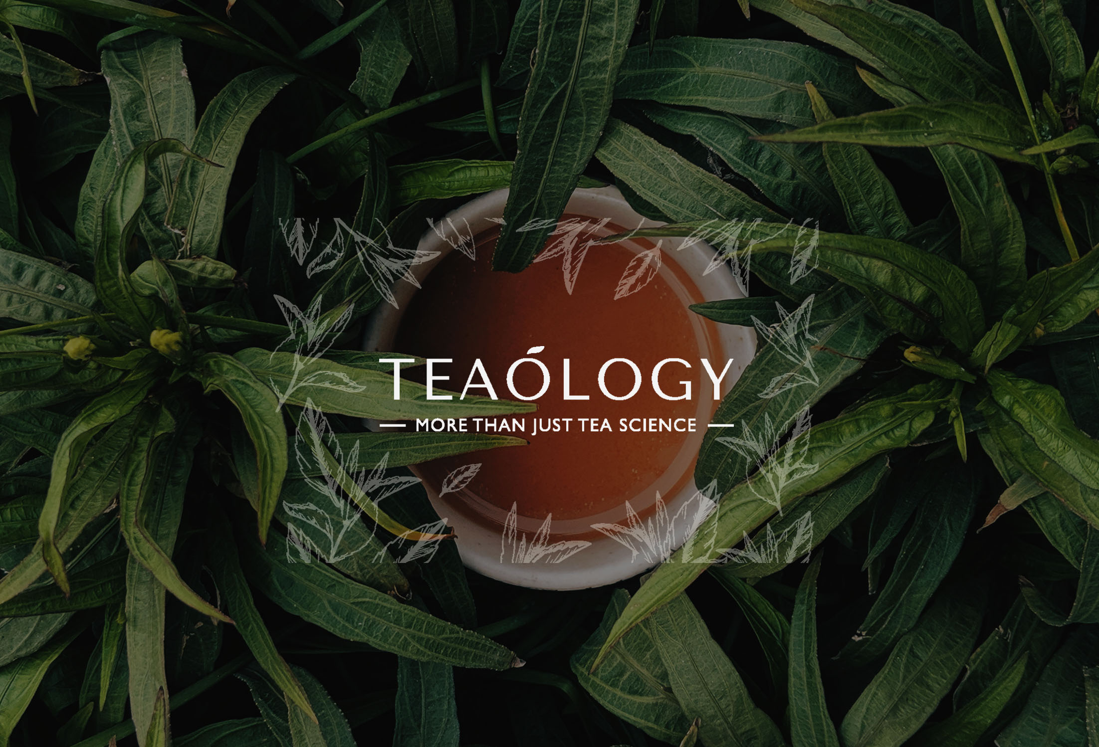Teaology